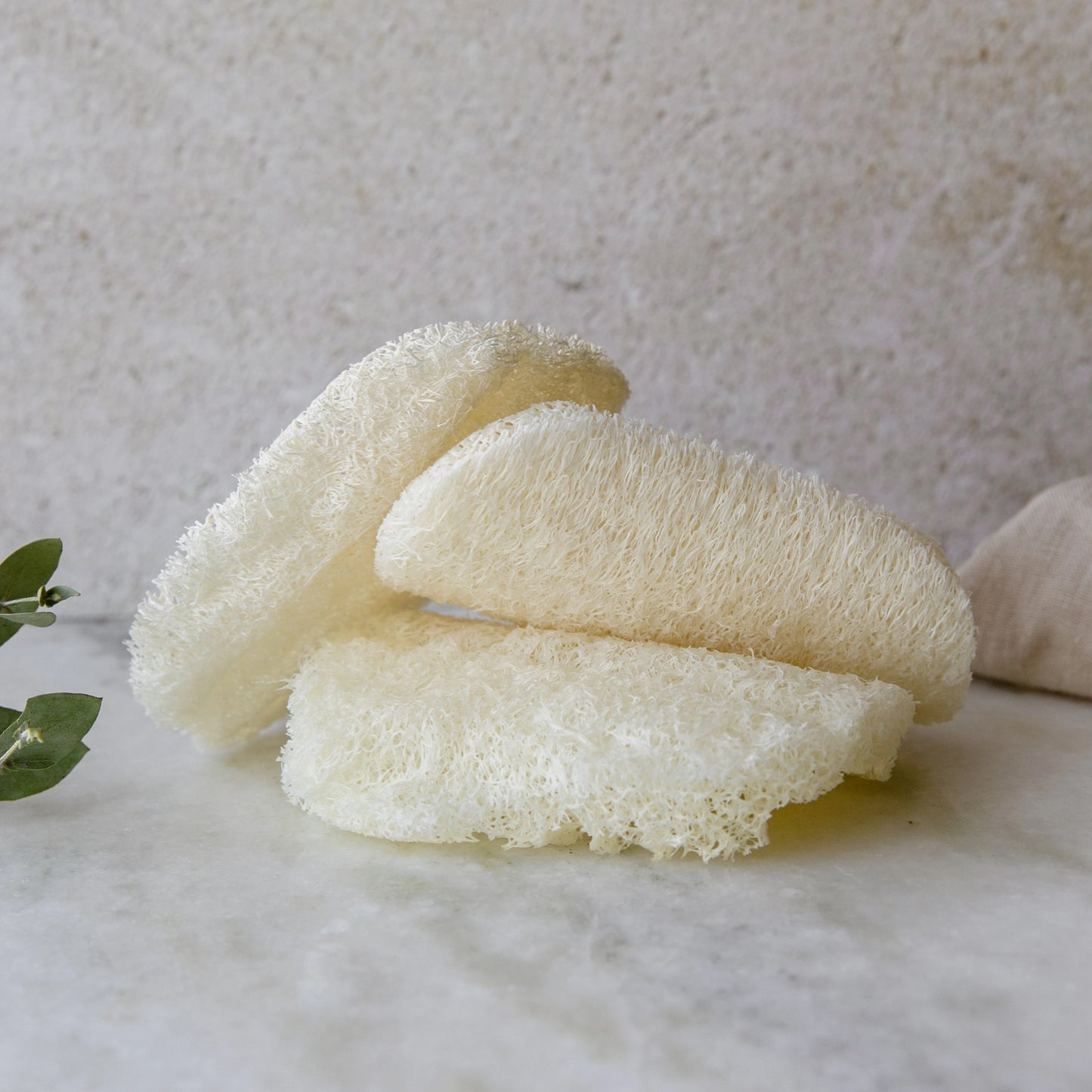 Compostable Dish Sponge