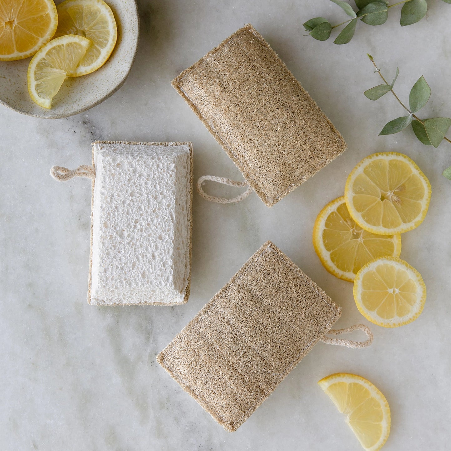 Loofah and Cellulose Cleaning Sponge